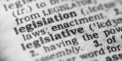 dictionary entry for the word legislation